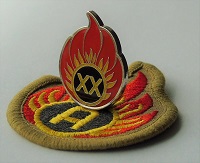 AAT 20th Anniversary Badge